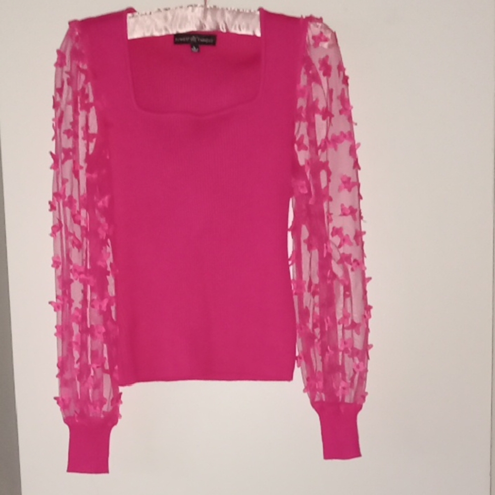 Almost Famous Pink Sweater with Sheer Sleeves